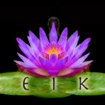 Reiki Kurs